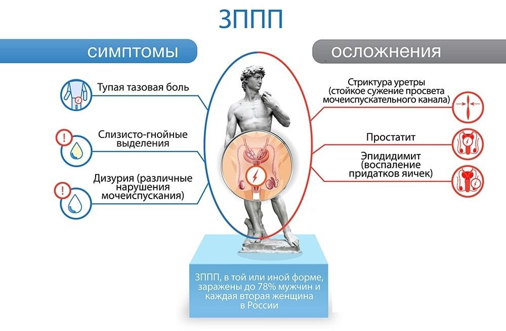 обследование на иппп